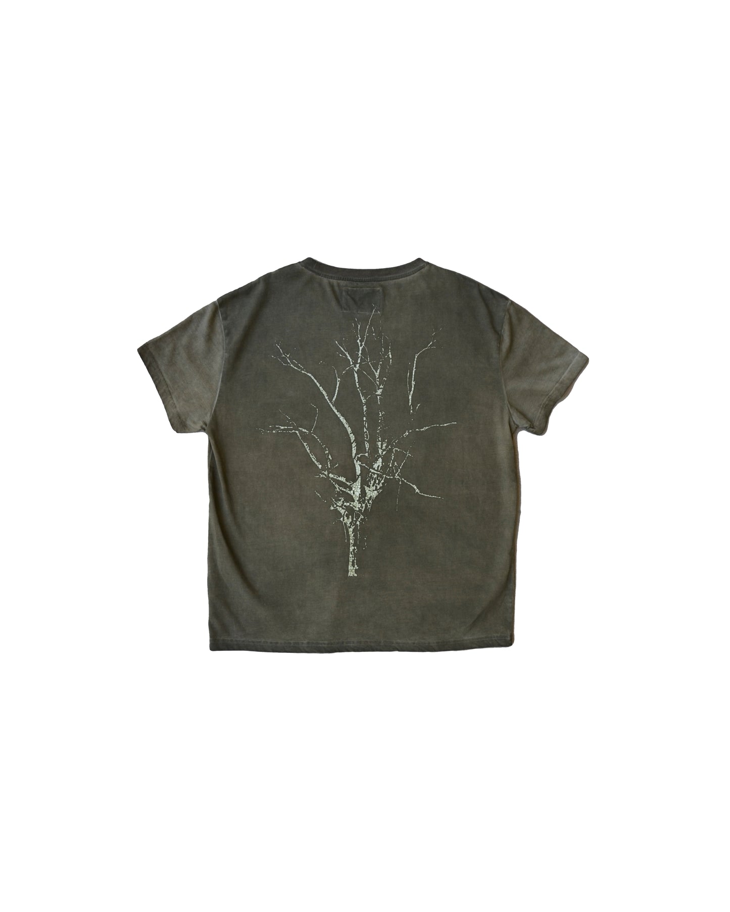 SAGE ETERNAL TREE TEE