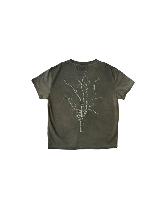 SAGE ETERNAL TREE TEE